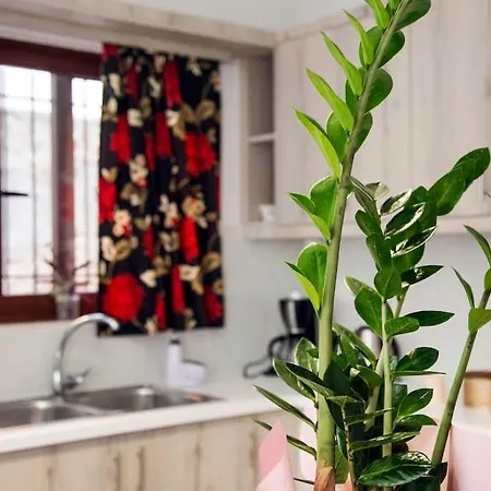 Nyaraló Kalliston House With A Yard *