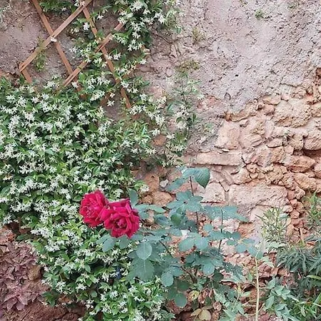 Nyaraló Kalliston House With A Yard *