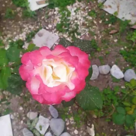 Holiday home Kalliston House With A Yard *