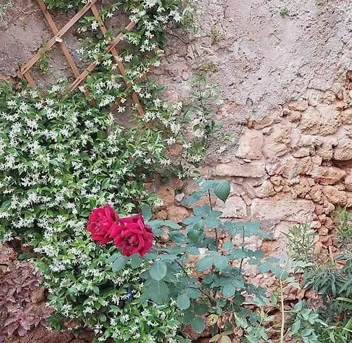 Сasa de vacaciones Kalliston House With A Yard *