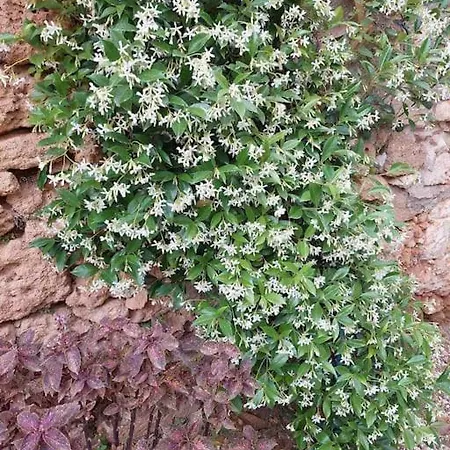 Kalliston House With A Yard