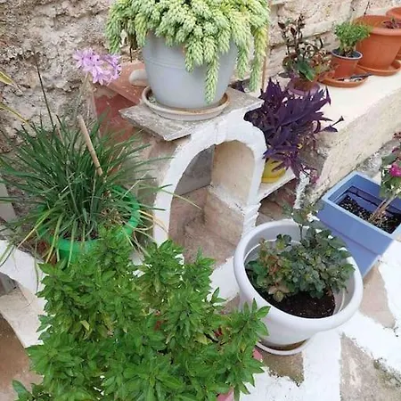 Kalliston House With A Yard