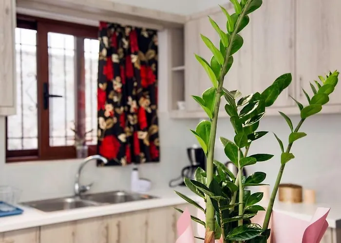 Дом отдыха Kalliston House With A Yard *